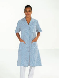 Blouse Agent De Nettoyage Rayé Bleu Manches Courtes MADONA