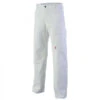 Pantalon De Travail Blanc Azurite -Travail Professionnels Vêtements Magasin pantalon de travail blanc azurite