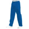 Pantalon Médical Mixte à Taille élastique Bleu Hospital