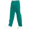 Pantalon Médical Mixte Taille Elastique Vert -Travail Professionnels Vêtements Magasin pantalon medical mixte a taille elastique vert